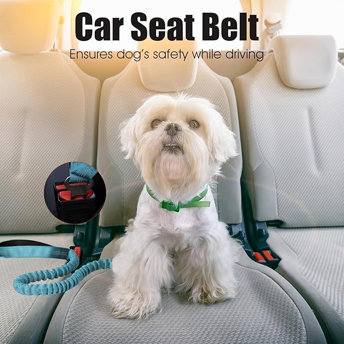 BUMBIN 6Ft Dog Leash Large Dogs, Bungee Dog Leash with 2 Handles, Heavy Duty Leashes for Medium Small Dogs, No Pull Shock Absorbing，with Car Seat Belt for Training, Blue