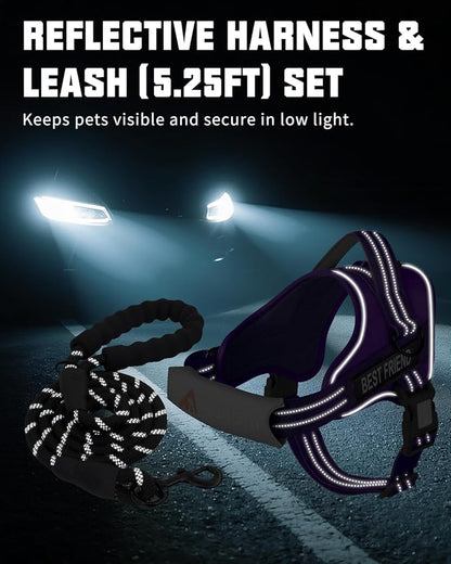 AUROTH Dog Harness and Leash Set, Soft Padded Service Dog Vest with 5.25FT Dog Leash, No Choke, Easy On Pet Vest, Adjustable Reflective No Pull Dog Harness for Large Dogs, Easy Walking and Training