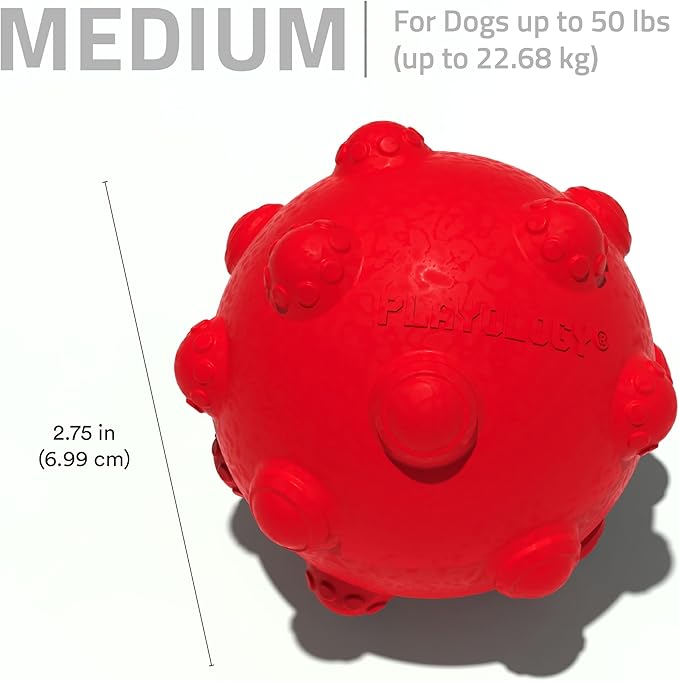 Playology Dog Toys | Puppy Toy Teething Ball Designed for Young & Active Dogs | Medium Beef Scented Toy Made from Non Toxic Materials