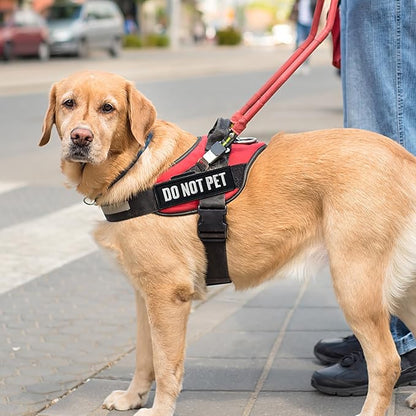 TACVEL 2 Pieces Do Not Pet Dog Patches with Hook Backing for Service Animal Vests, Harnesses