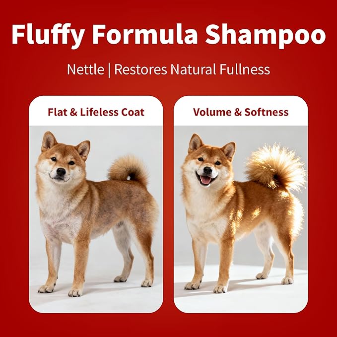 Arf Arf Dog Shampoo Softening Formula, Soften & Fluffy Oatmeal 16oz—Plant-Based 4-in-1: Cleans, Conditions, detangles, moisturizes. Oatmeal & Honey Soothe Itchy Skin. Hypoallergenic. Made in Taiwan.