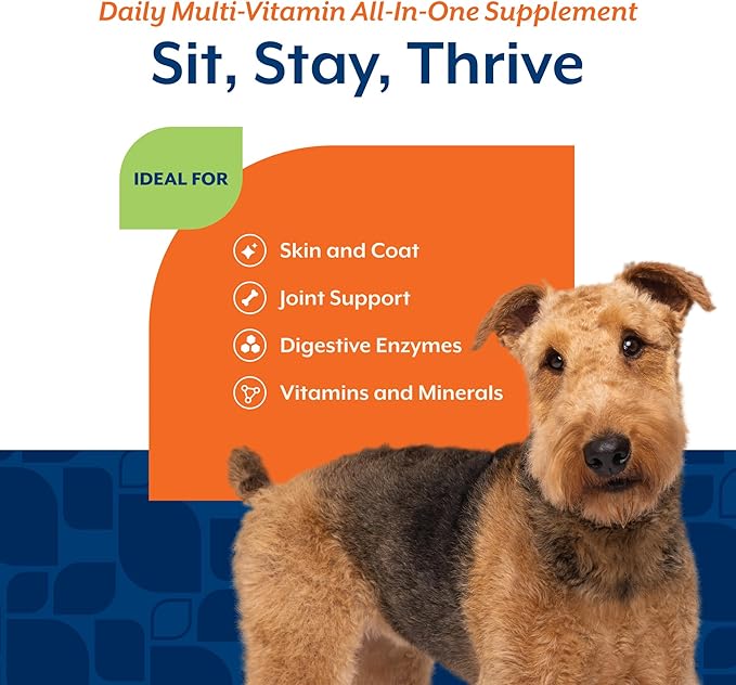 NaturVet All-in-One Dog Supplement - for Joint Support, Digestion, Skin, Coat Care – Dog Multivitamins with Minerals, Omega-3, 6, 9 – Wheat-Free Vitamins for Dogs – 120 Soft Chews