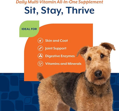 NaturVet All-in-One Dog Supplement - for Joint Support, Digestion, Skin, Coat Care – Dog Multivitamins with Minerals, Omega-3, 6, 9 – Wheat-Free Vitamins for Dogs – 120 Soft Chews