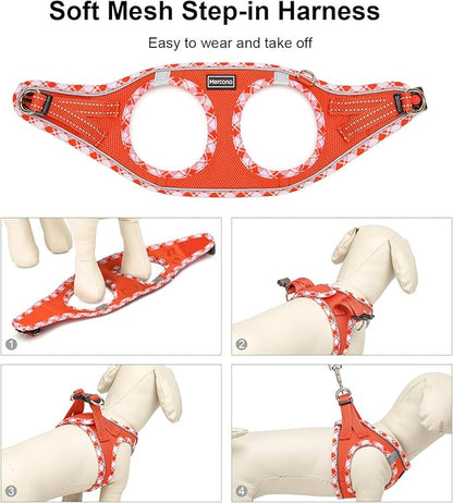 Mercano Soft Mesh Dog Harness and Leash Set, No-Chock Step-in Reflective Breathable Lightweight Easy Walk Vest Harnesses with Safety Buckle for Small Dogs, Cats (Tangerine, XL)