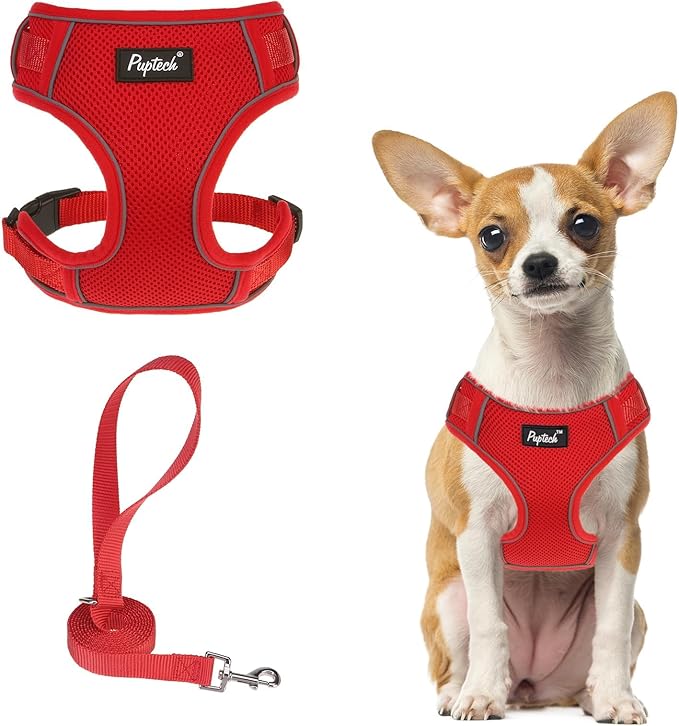 PUPTECK Small Dog Harness and Leash Set, No Pull Adjustable Puppy Cat Harness, Reflective Soft Mesh Pet Vest Small Sized, Red, XS