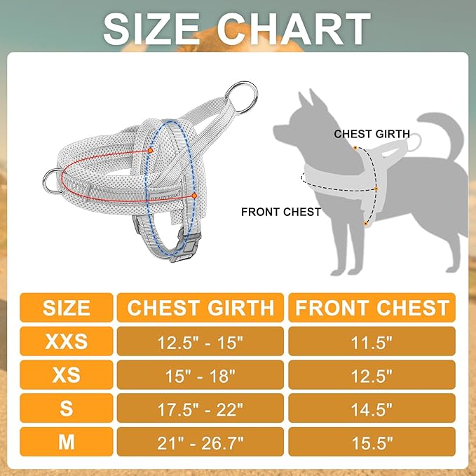 BEAUTYZOO Dog Harness for Small Dogs, No Pull Dog Harness and Leash Set, Soft Escape Proof Puppy Vest Harness with Handle, Reflective Lightweight Step in Harness for Girl Boy Dogs, Beige XS