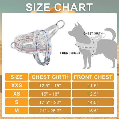 BEAUTYZOO Dog Harness for Small Dogs, No Pull Dog Harness and Leash Set, Soft Escape Proof Puppy Vest Harness with Handle, Reflective Lightweight Step in Harness for Girl Boy Dogs, Beige XS