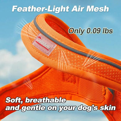 Dog Harness and Leash Set,Step in Small Sized Dog Harness,Soft Mesh,No-Chock,Reflective Adjustable,Secure with Hook & Loop Fastener,Puppy Vest for Small,Medium Dogs(Orange,M)