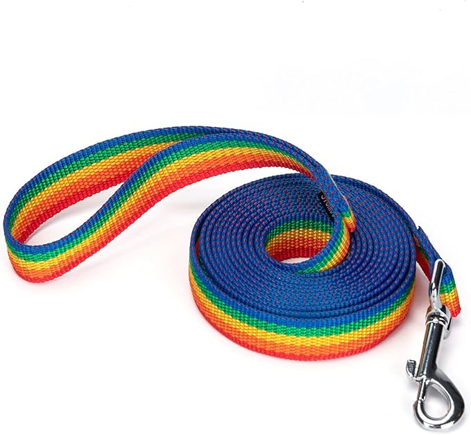 Siumouhoi Strong Durable Nylon Dog Training Leash, 1 Inch Wide Traction Rope, 6 ft 10ft 15ft Long, for Small and Medium Dog (Rainbow, 10 Feet)