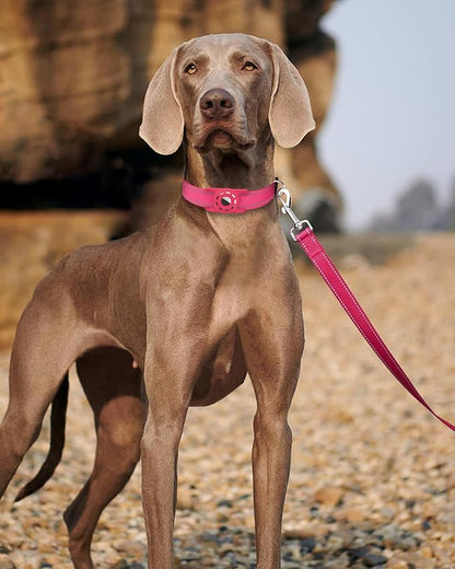 6FT Reflective Nylon Dog Leash with Soft Padded Handle for Walking, Running and Training, Supports Small Medium and Large Dogs (Hotpink, 3/4Inch Wide)