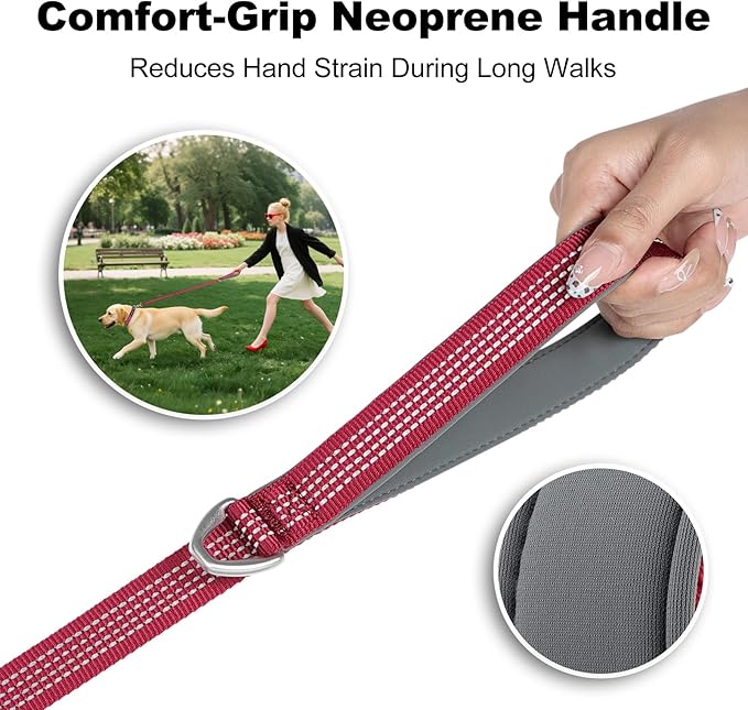 Plutus Pet Heavy Duty Dog Leash with Lockable Aluminum Carabiner, 4/6 Feet Long, Double-Sided Reflective Nylon, Padded Handle, for Puppy, Small, Medium and Large Dogs (Burgundy Red, 4/5" x 4')