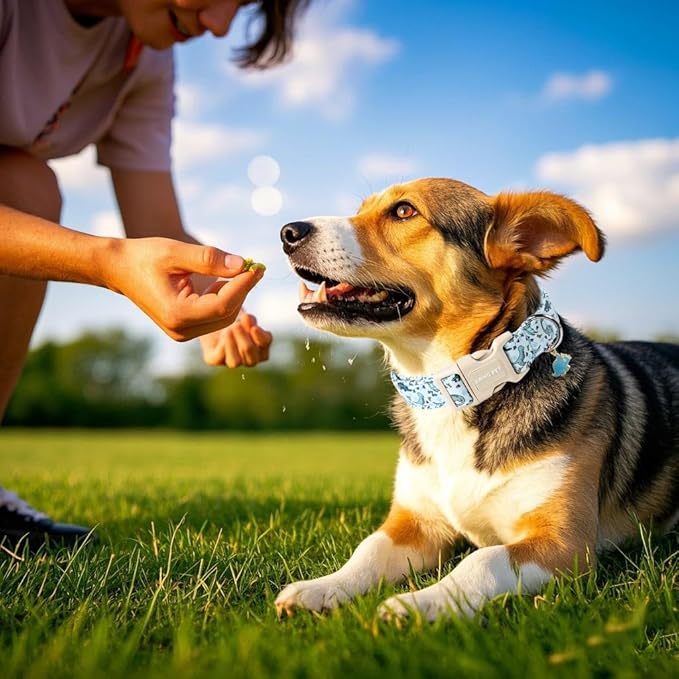 ARING PET Dinosaur Dog Collar, Blue Summer Pet Collars with Quick Release Buckle for Puppy Small Medium Large Boy Girl Dogs-M