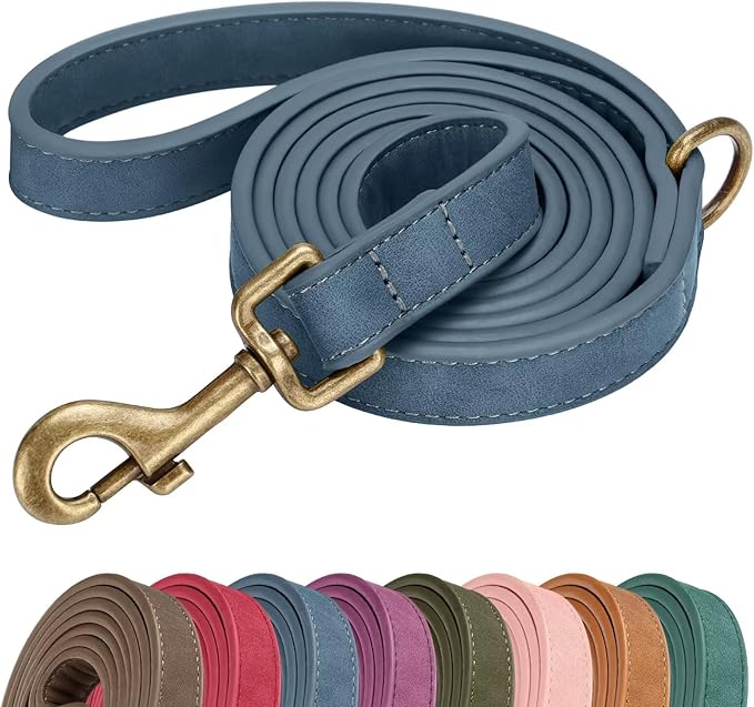 Didog Stylish PU Leather Dog Leash for Medium Dogs, Easy to Clean 5ft Dog Leashes for Large Dogs, Fashionable and Elegant for Walking, Running and Training,Blue, M