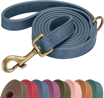 Didog Stylish PU Leather Dog Leash for Medium Dogs, Easy to Clean 5ft Dog Leashes for Large Dogs, Fashionable and Elegant for Walking, Running and Training,Blue, M