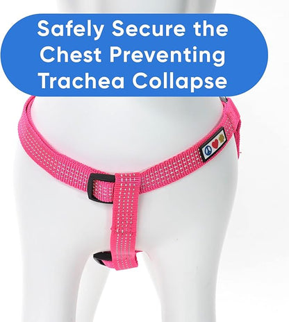 Pawtitas Reflective Step-in Dog Harness – Adjustable No-Pull Vest for Puppies to Seniors, Safe & Comfortable, L Pink