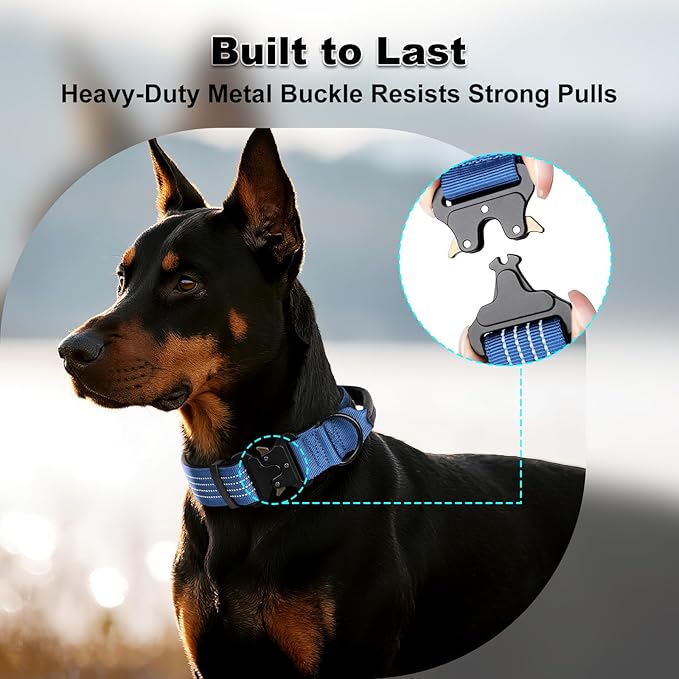 Plutus Pet Tactical Dog Collar with Tracker Pocket for AirTag, Adjustable Reflective Nylon Collar, Metal Buckle, Leather-Wrapped Handle, Soft Padded for Medium Large Dogs (Blue, L)
