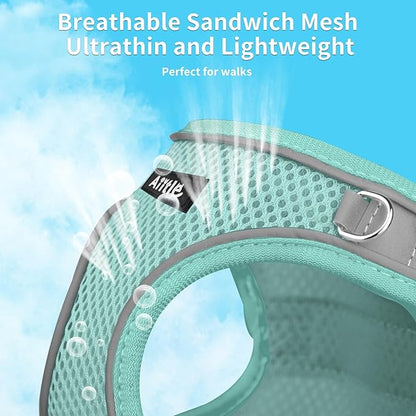 AIITLE Dog Harness, No-Pull Cat Harness with a Leash, Adjustable Reflective Dog Vest, Cat Harness Escape Proof, Outdoor Walking, Running for Extra Small Dogs and House Cats Pure Turquoise XXXS