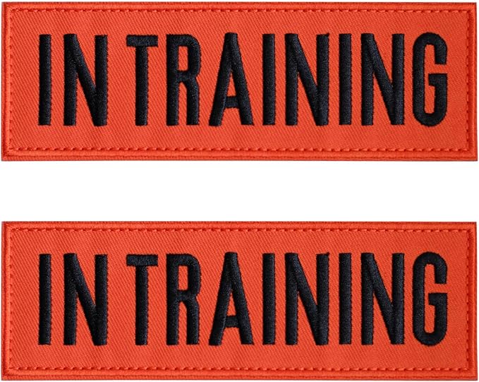 FITZNORA Embroidered in Training Patches, 2 Pack Clear Sign with Hook and Loop Pieces, Easy to Read Tabs for Dog Vest Harness Collar, 6 x 2 inches