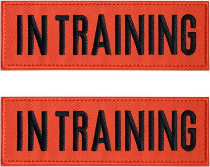 FITZNORA Embroidered in Training Patches, 2 Pack Clear Sign with Hook and Loop Pieces, Easy to Read Tabs for Dog Vest Harness Collar, 6 x 2 inches