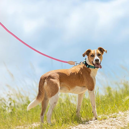 Mile High Life Rope Leash with Genuine Leather Connection, 6 FT/5 FT/4 FT, Heavy Duty Leash for Small Medium & Large Dogs (Hot Pink,48 Inch)