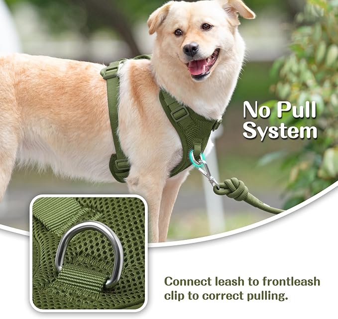 No Pull Dog Harness for Small Medium Large Dogs - Adjustable 2 Layer Mesh Dog Vest with Dual Clip, Escape Proof, Quick Release, Lightweight Breathable Mesh for Walking Hiking (Misty Green,XL)