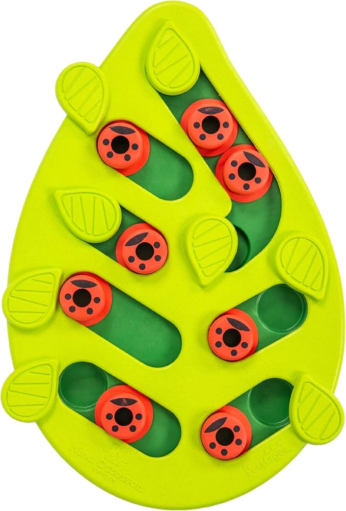 Catstages Nina Ottosson Buggin' Out Puzzle & Play – Interactive Cat Puzzle Feeder for Indoor Cats, 16 Hidden Treat Compartments, Slow Feeder, Durable & Easy-Clean