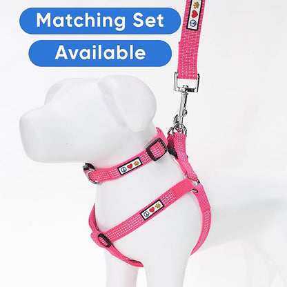 Pawtitas Reflective Dog Collar Adjustable Dog Collars for Small Dogs Puppy Collar Extra Small Dog Collar Pink Dog Collar