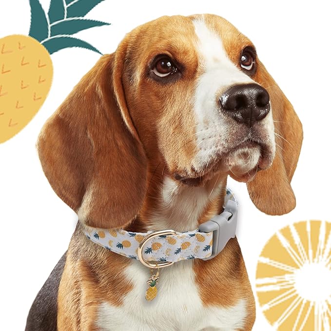 Faygarsle Cute Dog Collar for Girls Boy Dogs Soft Fancy Pet Collar with Pineapple Design Ideal Pink Summer Dog Collar for Small Medium Large Dogs L