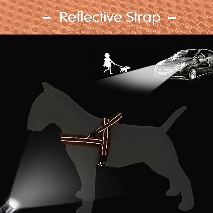 Didog No Pull Dog Harness with Soft Mesh Padded,Reflective & Quick Fit Light Weight Dog Strap Vest Harness,Easy for Walking Training (S:Chest 18-22", Orange)