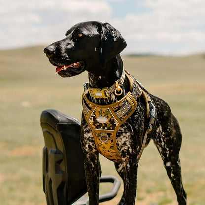 AUROTH Tactical Dog Harness for Small Medium Dogs No Pull Adjustable Pet Harness Reflective K9 Working Training Easy Control Pet Vest Military Service Dog Harnesses Woodland Camo M