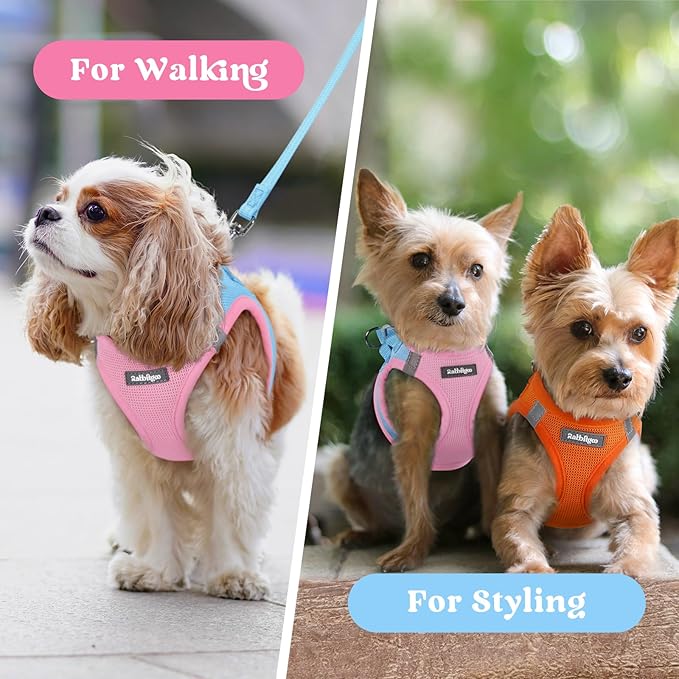 rabbitgoo Small Dog Harness, Step-in Soft Mesh Puppy Vest with Safety Buckle, Breathable Reflective Pet Harness for Extra Small Dogs, Blue & Light Pink XXXS