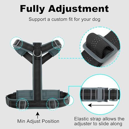 Plutus Pet No Pull Dog Harness, Adjustable Nylon Harness with Soft Padding, Reflective and Heavy Duty Dog Harness for Small, Medium, Large Dogs(Black, XL)