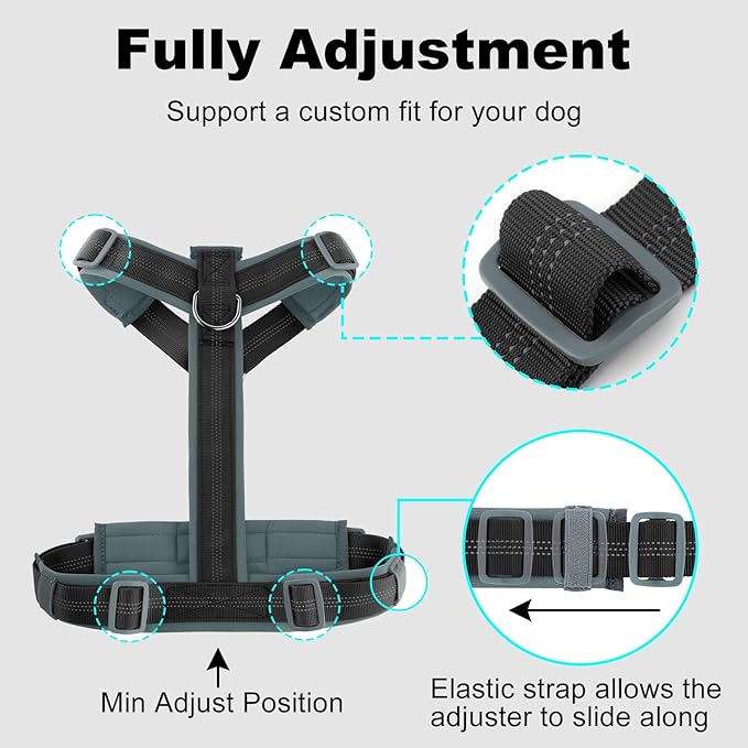 Plutus Pet No Pull Dog Harness, Adjustable Nylon Harness with Soft Padding, Reflective and Heavy Duty Dog Harness for Small, Medium, Large Dogs(Black, M)