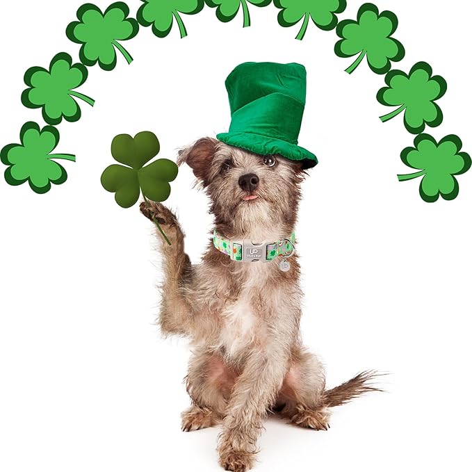 St. Patrick's Dog Collar, Cotton St. Patricks Clover Collar for Puppy Girl Boy Dog or Cat, Lucky Shamrock Dog Collar with Metal Buckle, Spring Green Collars for Dogs