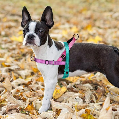Didog No Pull Dog Harness with Soft Padded Handle, Quick Fit & Lightweight Adjustable Vest Harness, Easy for Training Walking for Small & Medium and Large Dogs(Dark Green,L)