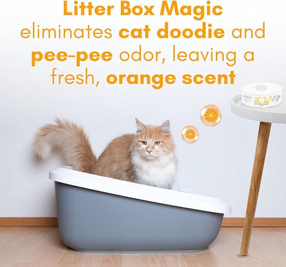 Litter Box Magic Cat Litter Deodorizer Jar (Orange Scent, 16 Oz, Pack of 1) - Cat Litter Odor Control Gel In A Jar - Cat Litter Box Pet Air Freshener - Litter Odor Eliminator to Freshen Air