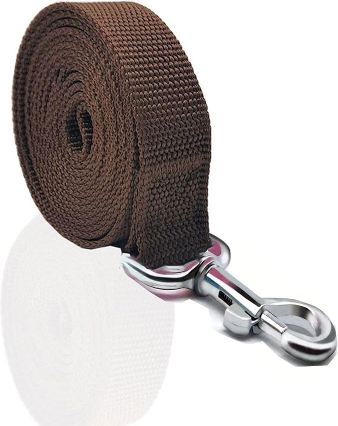 Nylon Dog Leash 8 Feet Long, Walking Training Dog Leashes for Medium Large Dogs(1" X 8 ft, Brown)