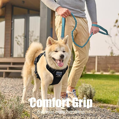 BUMBIN 6Ft Dog Leash Large Dogs, Bungee Dog Leash with 2 Handles, Heavy Duty Leashes for Medium Small Dogs, No Pull Shock Absorbing，with Car Seat Belt for Training, Blue