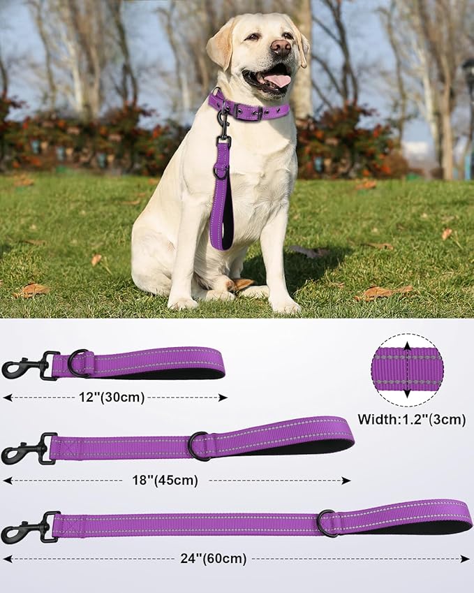 Joytale Strong Short Dog Leash 1FT, 1.2 Inch Wide, Heavy Duty, Padded Handle for Traffic Control, Reflective Leash for Medium and Large Dogs Walking Training, Purple