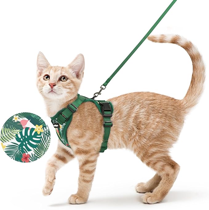 rabbitgoo Cat Harness and Leash for Walking, Escape Proof Soft Adjustable Vest Harnesses for Cats, Easy Control Breathable Reflective Strips Jacket,Rainforest Green,XS