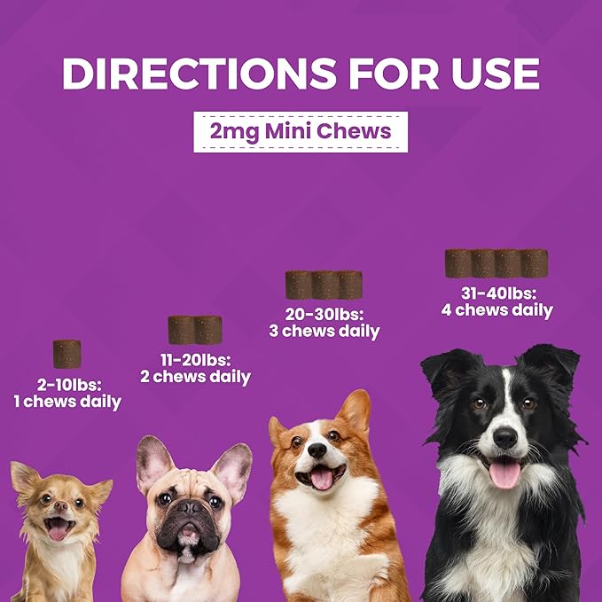 Progility Mini Dog Calming Soft Chews for Small to Medium Dogs, Daily or Situational Support with Melatonin (60 Count)