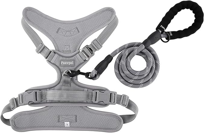 Paawpal Adjustable Dog Harness - No Pull, Reflective, Soft Padded for Small, Medium, Large Dogs - Includes Leash Light Silver L