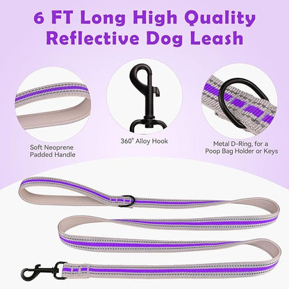 Martingale Collar for Dogs,Soft Neoprene Padded Reflective Martingale Collar and Leash Set Safety Buckle Nylon Martingale Collar for Puppy(Purple&XS)