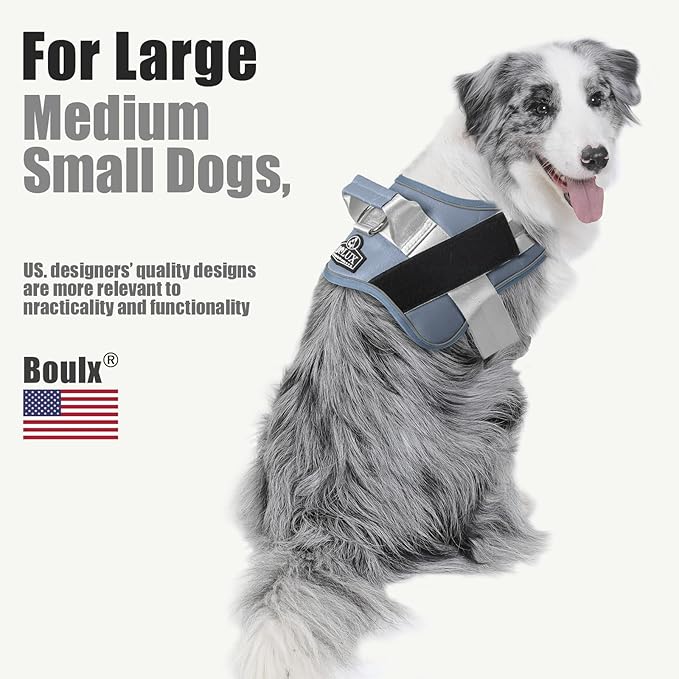 Bolux Dog Harness, No-Pull Reflective Dog Vest, Breathable Adjustable Pet Harness with Handle for Outdoor Walking - No More Pulling, Tugging or Choking (Blue, XL)