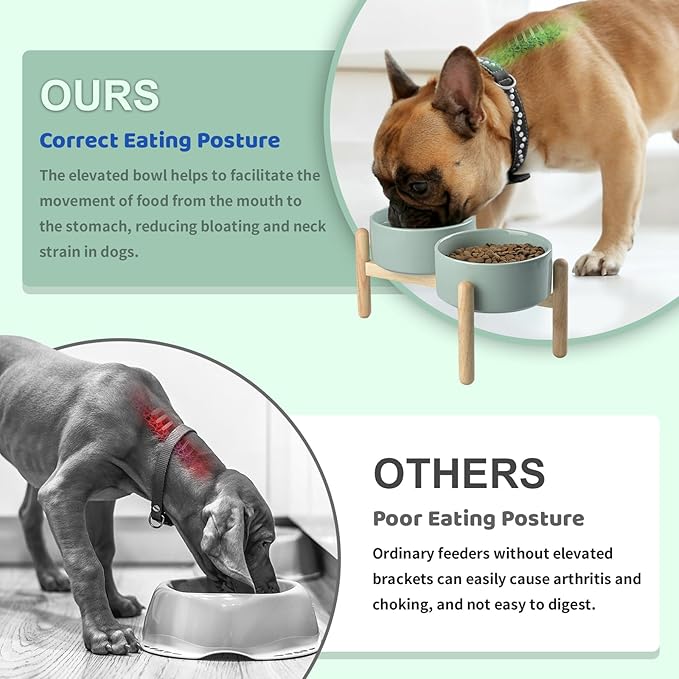 SPUNKYJUNKY Ceramics Raised Dog Bowls with Wooden Stand - Elevated Bowls for Small Medium Dogs (Double 28.7OZ, Light Green)