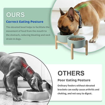 SPUNKYJUNKY Ceramics Raised Dog Bowls with Wooden Stand - Elevated Bowls for Small Medium Dogs (Double 28.7OZ, Light Green)