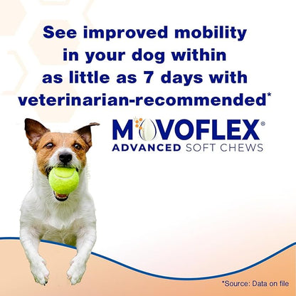 MOVOFLEX Advanced Soft Chews Hip and Joint Support Supplement for Large Dogs 120 Count by Virbac