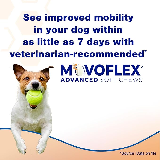 Advanced Soft Chews Hip and Joint Support Supplement for Medium Dogs - Movoflex 60 Count by Virbac