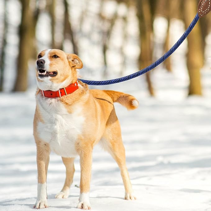 Mile High Life Rope Leash with Genuine Leather Connection, 6 FT/5 FT/4 FT, Heavy Duty Leash for Medium & Large Dogs (Blue, 60 Inch)