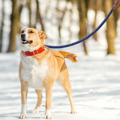 Mile High Life Rope Leash with Genuine Leather Connection, 6 FT/5 FT/4 FT, Heavy Duty Leash for Medium & Large Dogs (Blue, 48 Inch)